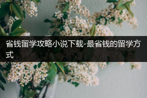 省钱留学攻略小说下载-最省钱的留学方式