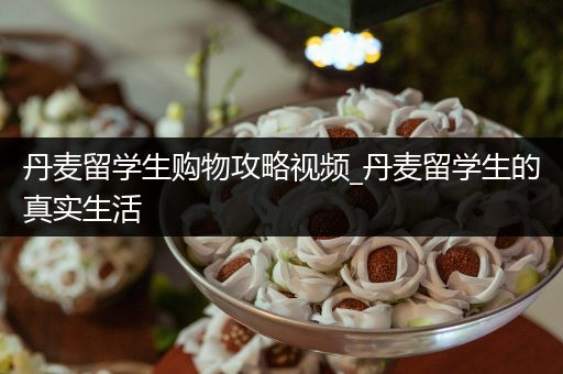 丹麦留学生购物攻略视频_丹麦留学生的真实生活
