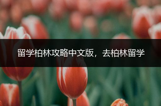 留学柏林攻略中文版，去柏林留学