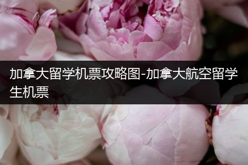 加拿大留学机票攻略图-加拿大航空留学生机票