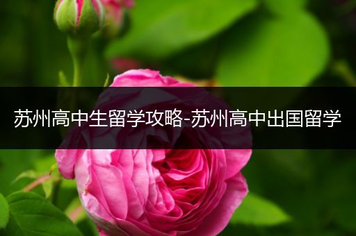 苏州高中生留学攻略-苏州高中出国留学