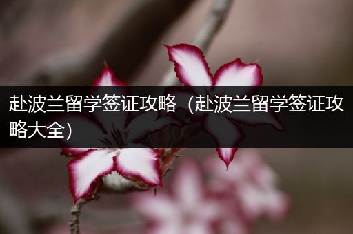 赴波兰留学签证攻略（赴波兰留学签证攻略大全）