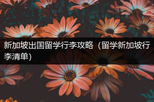 新加坡出国留学行李攻略（留学新加坡行李清单）