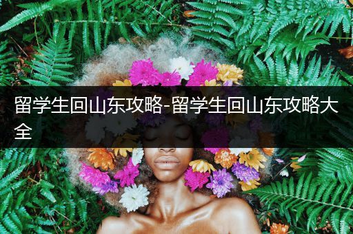 留学生回山东攻略-留学生回山东攻略大全