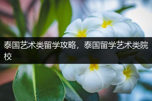 泰国艺术类留学攻略，泰国留学艺术类院校