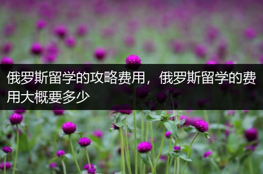 俄罗斯留学的攻略费用，俄罗斯留学的费用大概要多少