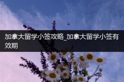 加拿大留学小签攻略_加拿大留学小签有效期