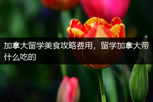 加拿大留学美食攻略费用，留学加拿大带什么吃的