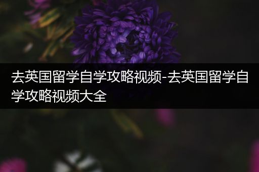 去英国留学自学攻略视频-去英国留学自学攻略视频大全