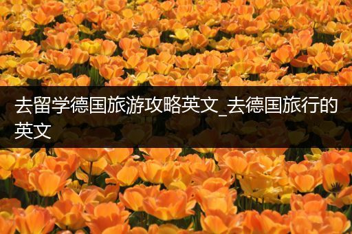 去留学德国旅游攻略英文_去德国旅行的英文