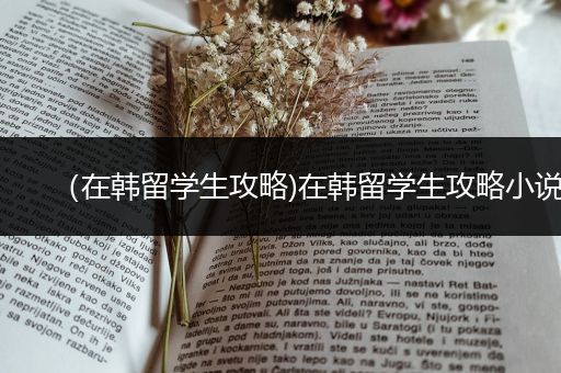 （在韩留学生攻略)在韩留学生攻略小说
