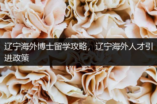辽宁海外博士留学攻略，辽宁海外人才引进政策