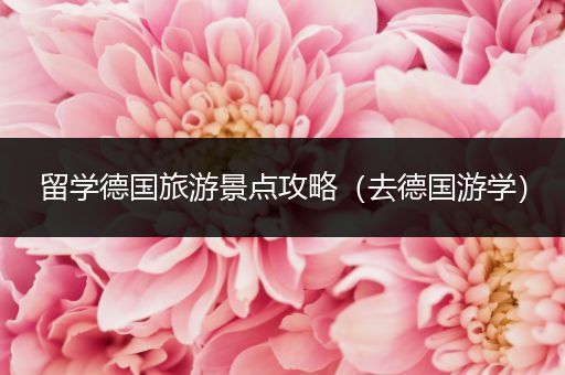 留学德国旅游景点攻略（去德国游学）