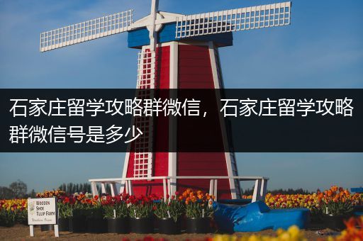 石家庄留学攻略群微信，石家庄留学攻略群微信号是多少