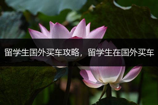 留学生国外买车攻略，留学生在国外买车