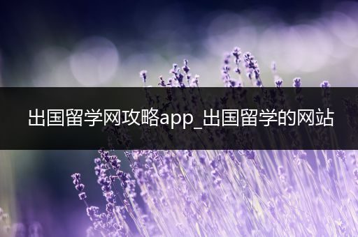 出国留学网攻略app_出国留学的网站