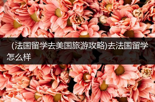 （法国留学去美国旅游攻略)去法国留学怎么样