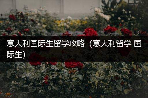 意大利国际生留学攻略（意大利留学 国际生）
