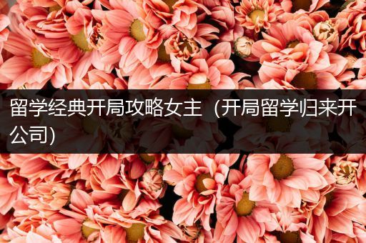 留学经典开局攻略女主（开局留学归来开公司）