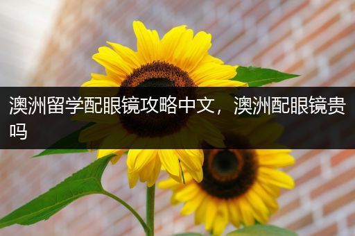 澳洲留学配眼镜攻略中文，澳洲配眼镜贵吗