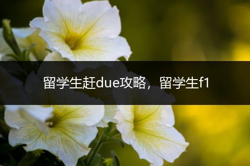 留学生赶due攻略，留学生f1