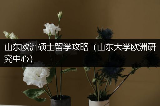 山东欧洲硕士留学攻略（山东大学欧洲研究中心）
