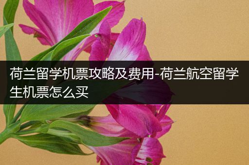 荷兰留学机票攻略及费用-荷兰航空留学生机票怎么买