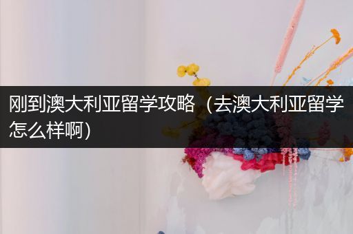 刚到澳大利亚留学攻略（去澳大利亚留学怎么样啊）