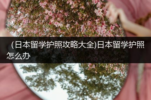 （日本留学护照攻略大全)日本留学护照怎么办