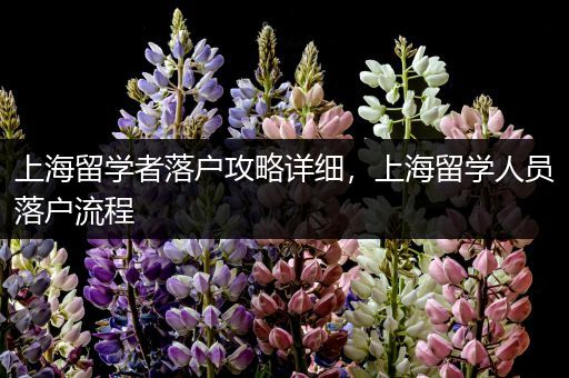 上海留学者落户攻略详细，上海留学人员落户流程