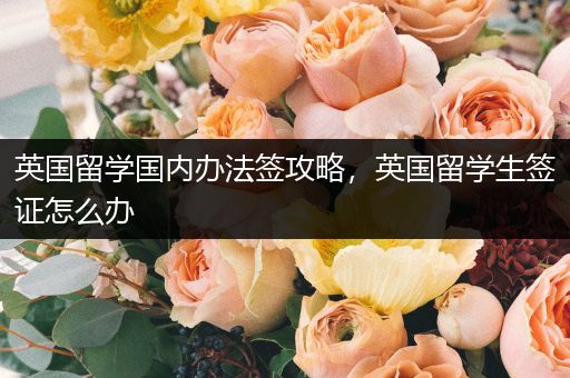 英国留学国内办法签攻略，英国留学生签证怎么办