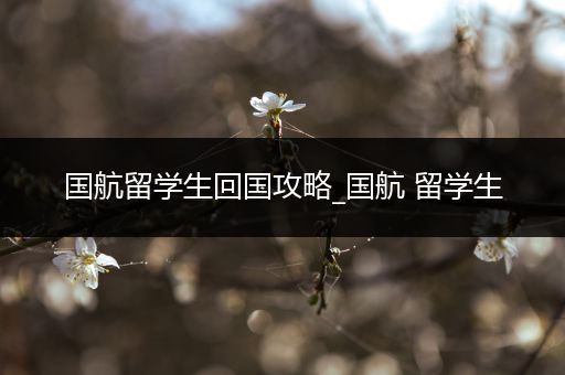 国航留学生回国攻略_国航 留学生