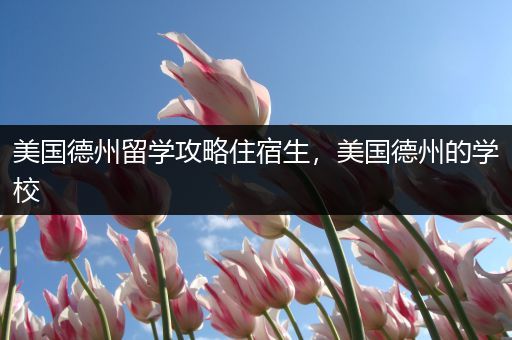 美国德州留学攻略住宿生，美国德州的学校