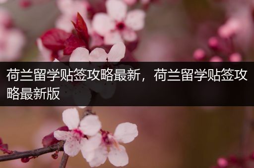 荷兰留学贴签攻略最新，荷兰留学贴签攻略最新版