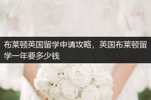 布莱顿英国留学申请攻略，英国布莱顿留学一年要多少钱