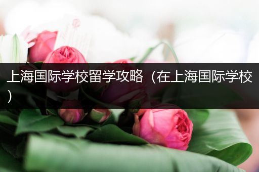 上海国际学校留学攻略（在上海国际学校）