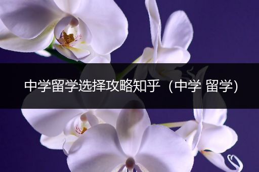 中学留学选择攻略知乎（中学 留学）