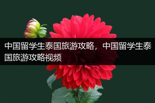 中国留学生泰国旅游攻略，中国留学生泰国旅游攻略视频