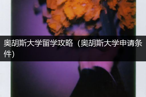 奥胡斯大学留学攻略（奥胡斯大学申请条件）