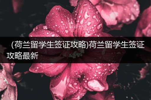 （荷兰留学生签证攻略)荷兰留学生签证攻略最新