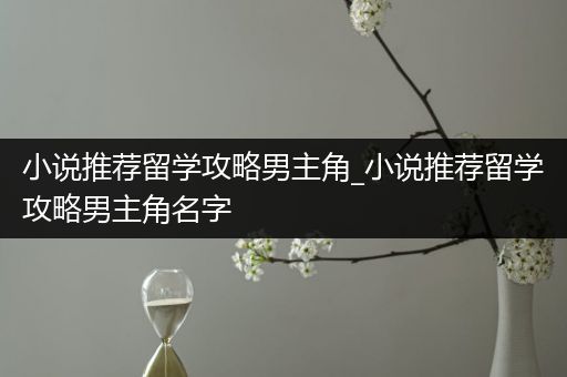 小说推荐留学攻略男主角_小说推荐留学攻略男主角名字