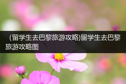 （留学生去巴黎旅游攻略)留学生去巴黎旅游攻略图