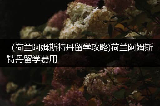 （荷兰阿姆斯特丹留学攻略)荷兰阿姆斯特丹留学费用