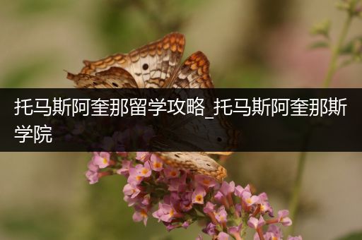 托马斯阿奎那留学攻略_托马斯阿奎那斯学院