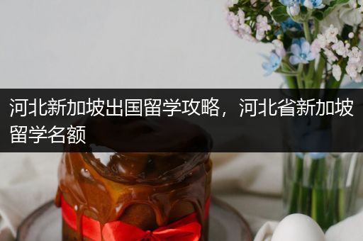 河北新加坡出国留学攻略，河北省新加坡留学名额