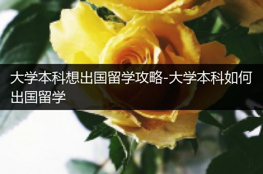 大学本科想出国留学攻略-大学本科如何出国留学