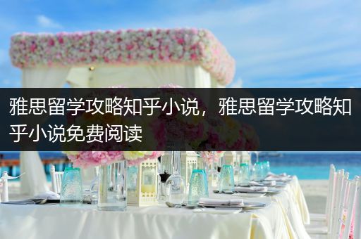 雅思留学攻略知乎小说，雅思留学攻略知乎小说免费阅读