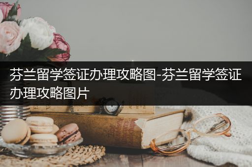 芬兰留学签证办理攻略图-芬兰留学签证办理攻略图片