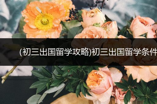 （初三出国留学攻略)初三出国留学条件