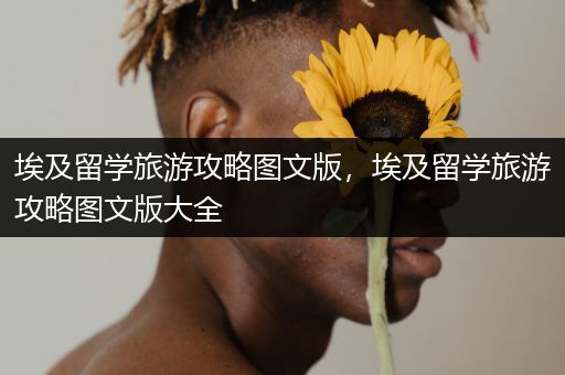 埃及留学旅游攻略图文版，埃及留学旅游攻略图文版大全